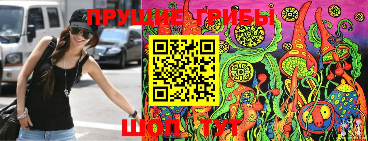где купить   Галлюциногенные грибы Psilocybe  Вход с VPN  Нефтекамск 