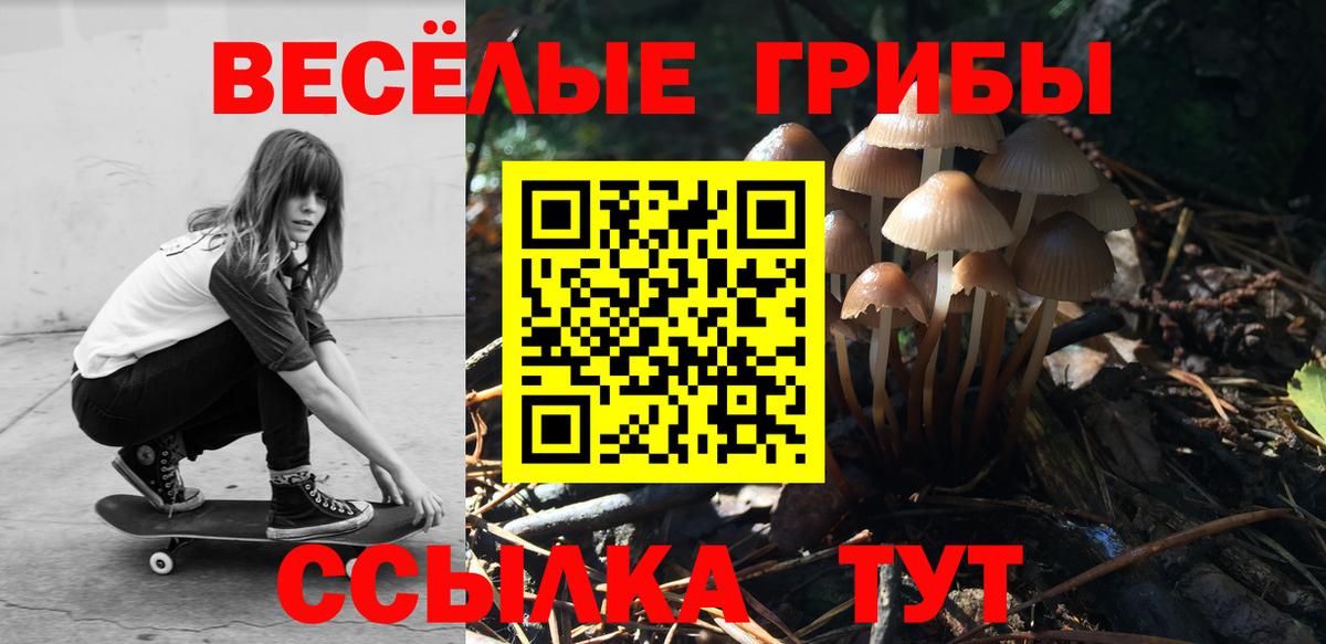 Галлюциногенные грибы Magic Shrooms Нефтекамск
